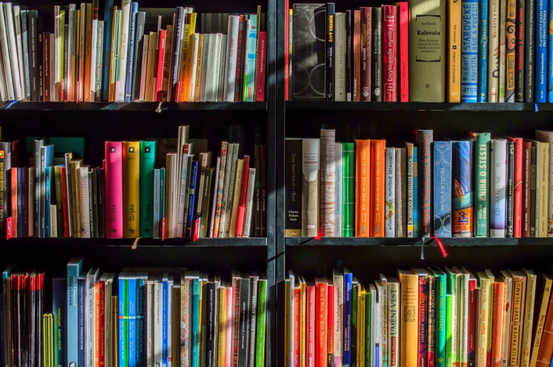 ecommerce-ANTIBES-min_books_bookstore_book_reading_shop_writer_sale_books_read-822866